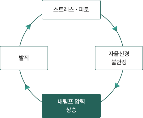 스트레스·피로 → 자율신경 불안정 → 내림프 압력 상승 → 발작이 반복되는 순환
